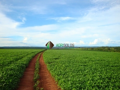 Terreno, 5 hectares - Foto 4