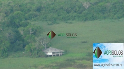 Terreno, 1 hectares - Foto 2