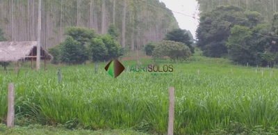 Terreno, 9 hectares - Foto 1