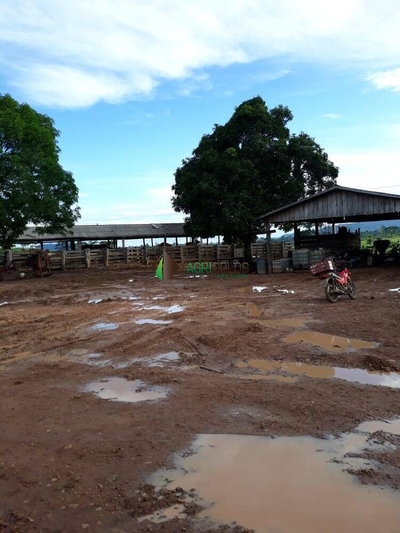 Terreno, 4200 m² - Foto 4