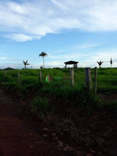 Terreno, 4200 m² - Foto 3