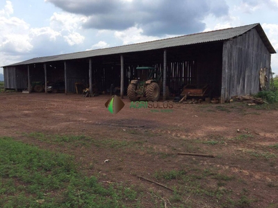 Terreno, 3 hectares - Foto 4