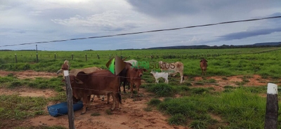 Terreno, 5000 m² - Foto 2