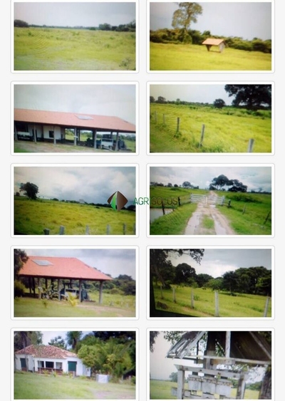 Terreno, 9 hectares - Foto 1