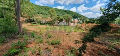 Terreno, 4590 m² - Foto 4