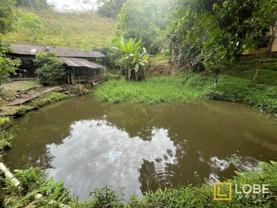 Chácara, 4 quartos, 4 hectares - Foto 3