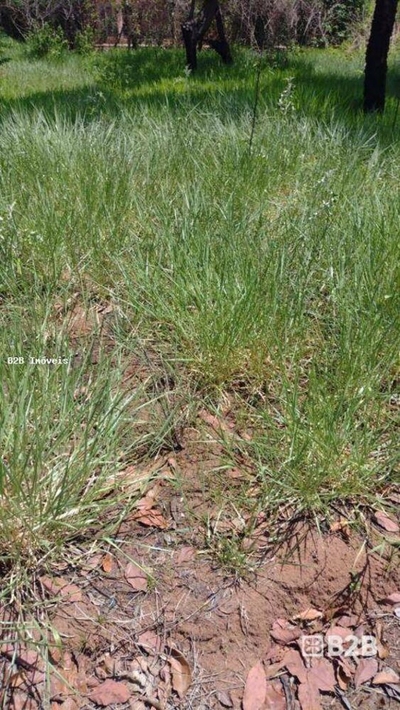 Terreno, 1000 m² - Foto 2