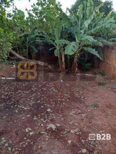 Casa, 5 quartos - Foto 4