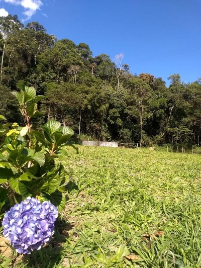 Sítio, 2 quartos, 4 hectares - Foto 1