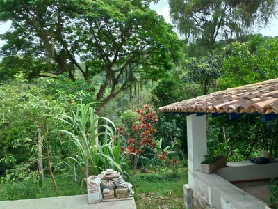 Sítio, 6 quartos, 1 hectares - Foto 5