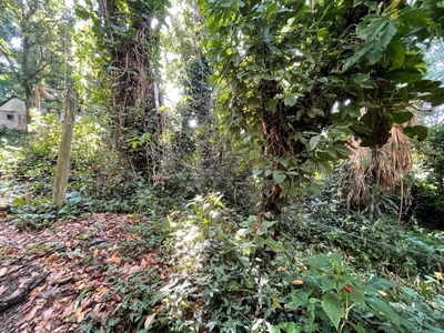 Terreno, 4483 m² - Foto 2