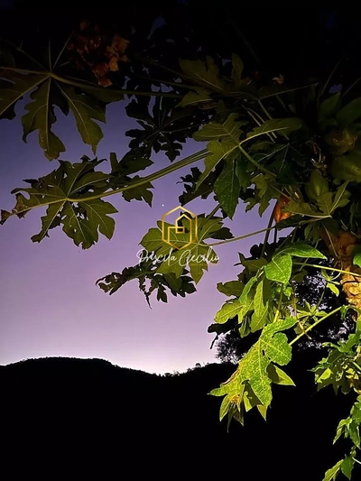 Chácara, 2 quartos, 2 hectares - Foto 2