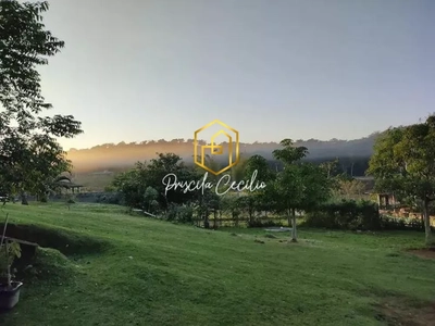 Sítio, 3 quartos, 5000 m² - Foto 1