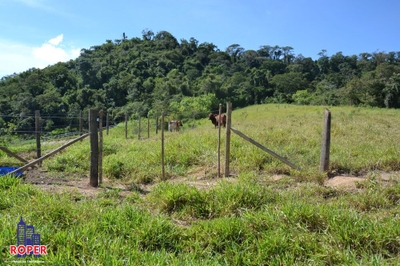 Fazenda, 7 hectares - Foto 4