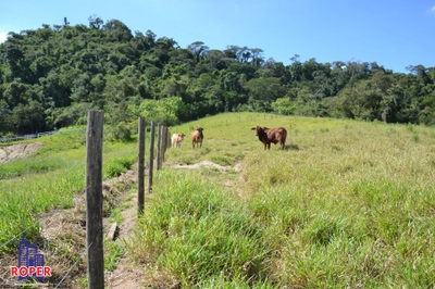Fazenda, 7 hectares - Foto 3