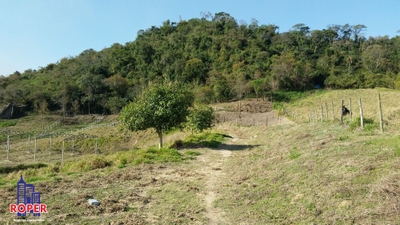 Fazenda, 7 hectares - Foto 2