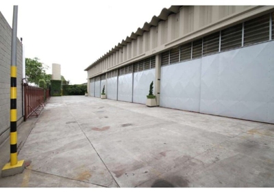 Depósito-Galpão, 2599 m² - Foto 4