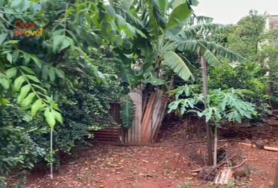 Casa, 3 quartos, 135 m² - Foto 3