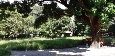 Terreno, 3366 m² - Foto 3