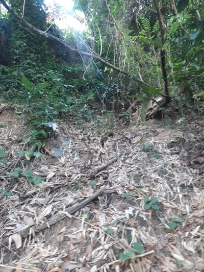 Terreno, 450 m² - Foto 5