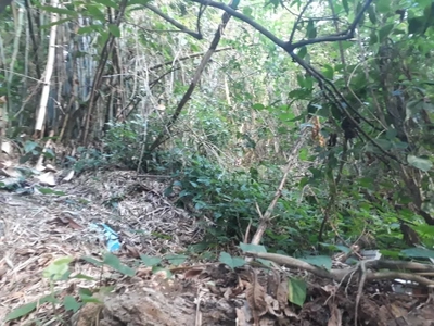 Terreno, 450 m² - Foto 4