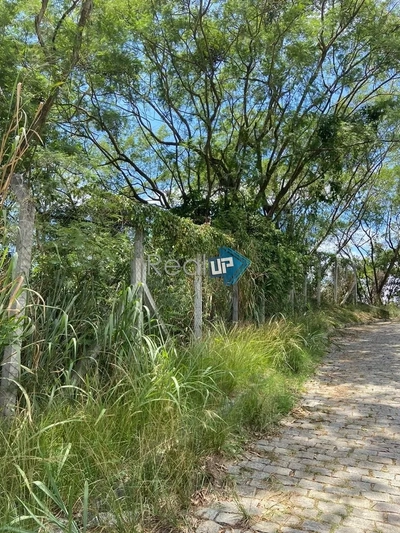 Terreno, 520 m² - Foto 4