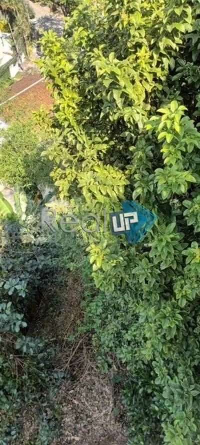 Terreno, 425 m² - Foto 5