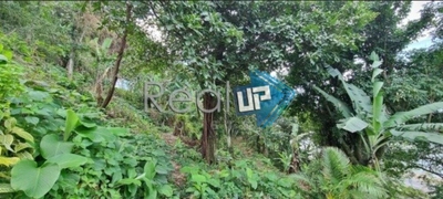 Terreno, 7 hectares - Foto 5