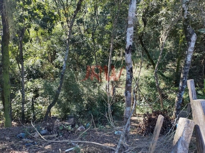 Chácara, 2 quartos, 2500 m² - Foto 3