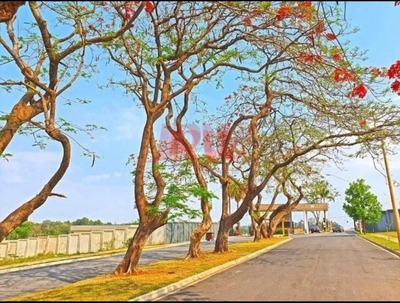 Terreno, 300 m² - Foto 2