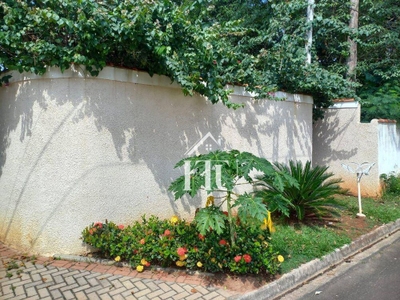 Chácara, 4 quartos, 2000 m² - Foto 4