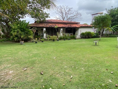 Sítio, 3 quartos, 3500 m² - Foto 2