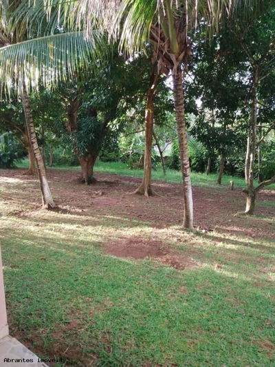 Sítio, 4 quartos, 5000 m² - Foto 4