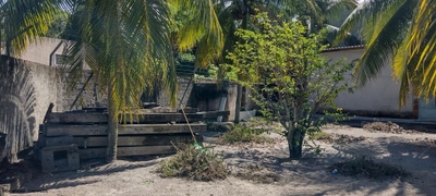 Sítio, 4890 m² - Foto 5