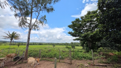 Fazenda-Sítio-Chácara - Foto 3