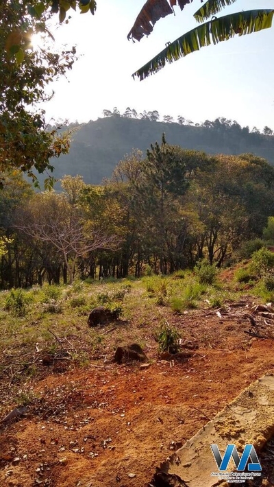 Casa, 3 quartos, 350 m² - Foto 2