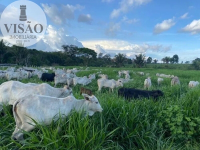 Fazenda-Sítio-Chácara, 428 m² - Foto 1