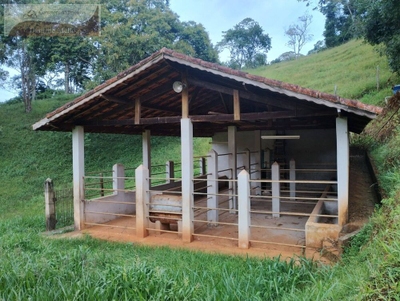 Casa, 14 quartos - Foto 1