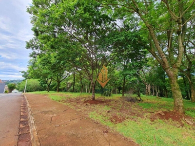 Loteamento e Condomínio, 242 m² - Foto 3