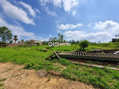 Terreno, 2379 m² - Foto 3