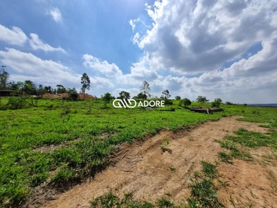 Terreno, 2379 m² - Foto 4