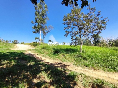 Terreno, 2132 m² - Foto 5