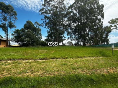 Terreno, 2859 m² - Foto 3