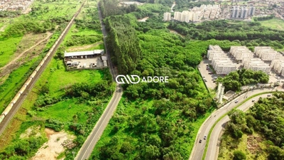 Terreno, 7 hectares - Foto 5