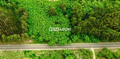 Terreno, 2 hectares - Foto 5