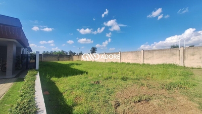 Terreno, 564 m² - Foto 3