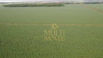 Fazenda-Sítio-Chácara, 207 hectares - Foto 4