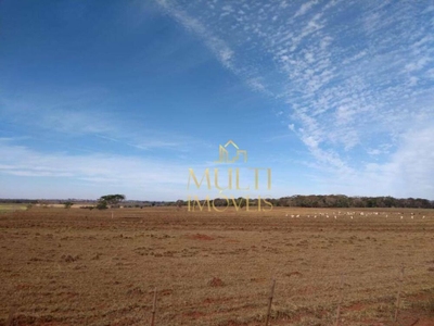 Fazenda-Sítio-Chácara, 227 hectares - Foto 2