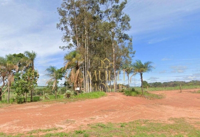 Sítio, 28 hectares - Foto 3