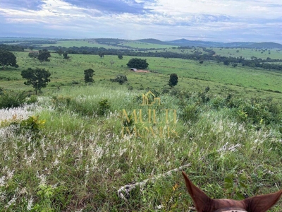 Fazenda-Sítio-Chácara, 1036 hectares - Foto 4